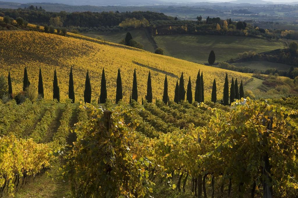 Agriturismo Campo Lungo San Donato in Poggio 객실 사진